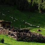 �����ı�ɽ����